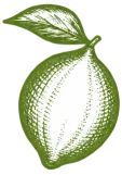 A green money bag illustration with a single leaf on top, symbolizing wealth.