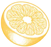 A yellow lemon slice illustration with radiating lines inside and a rind outline.