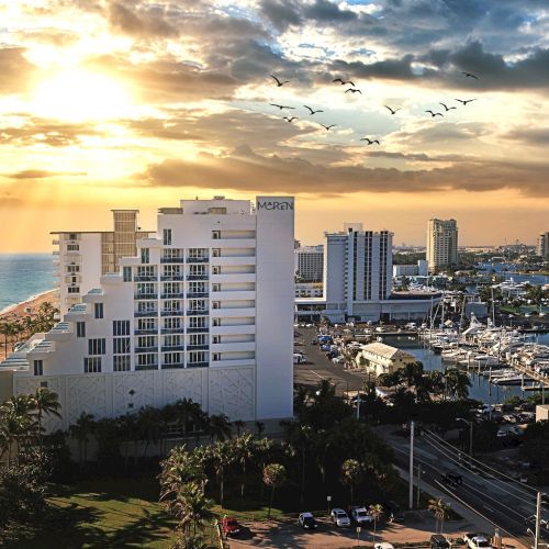 A sunset over the ocean beside a seaside hotel and marina, with palm trees and a flock of birds flying overhead.